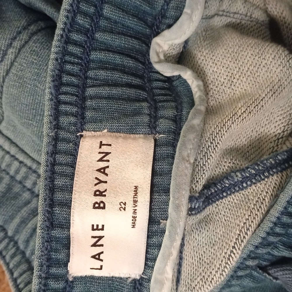 Lane Bryant Soft Denim Women's Shorts - Picture 2 of 3